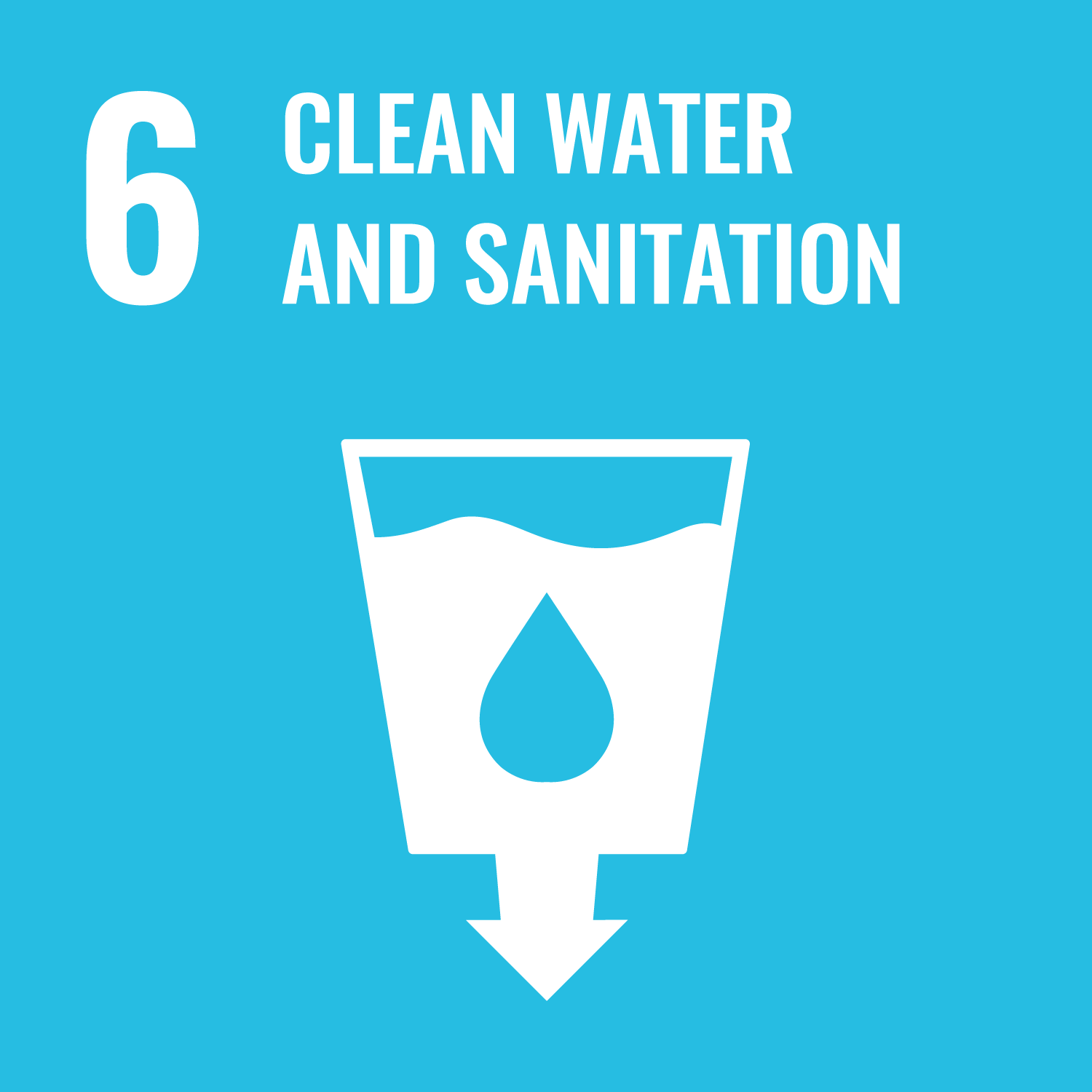 UN SDG icon