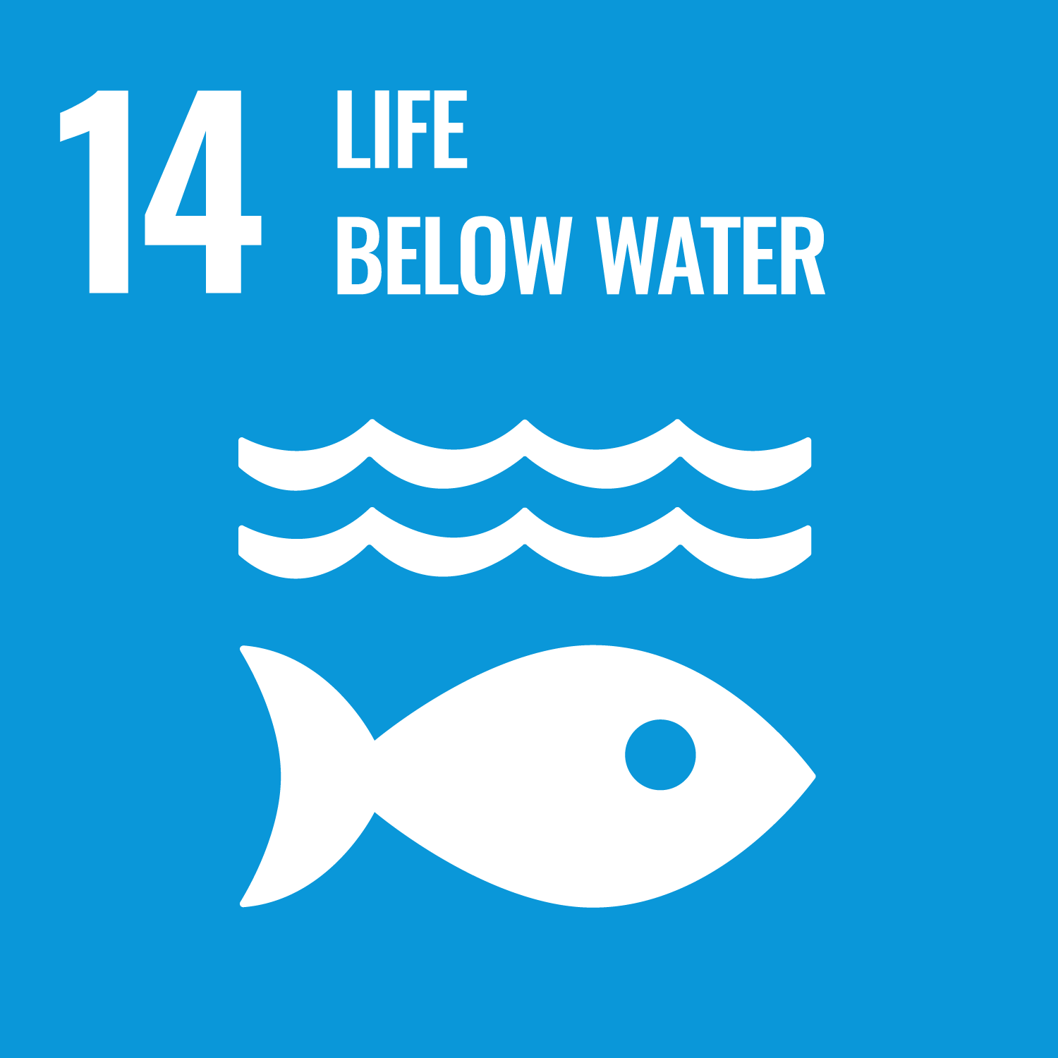 UN SDG icon