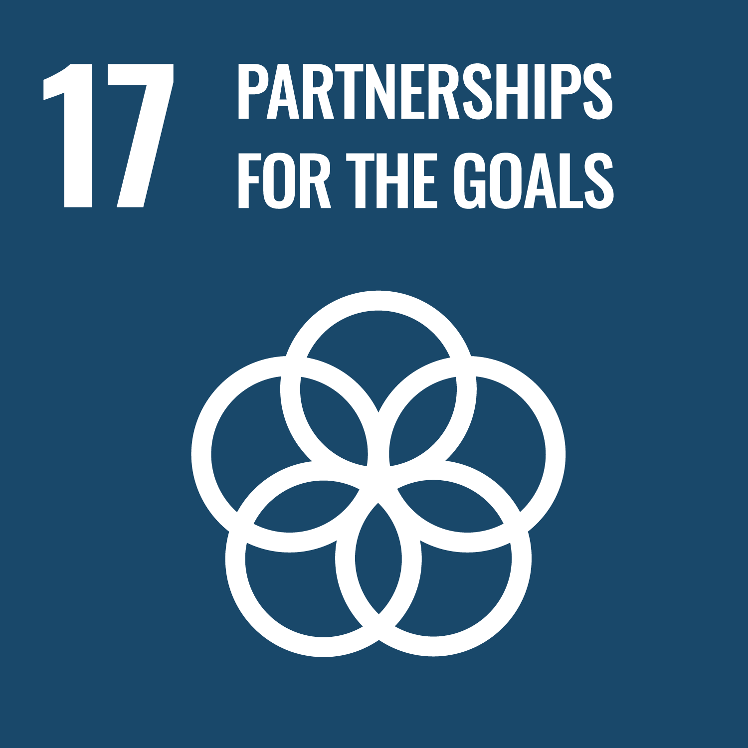 UN SDG icon
